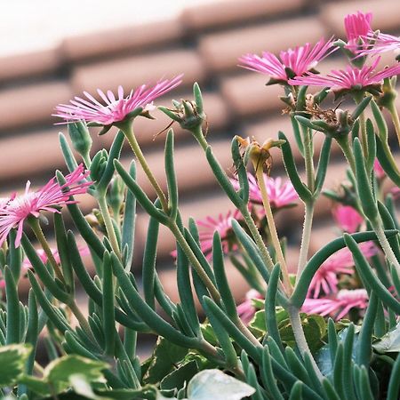Comecasa Flowery Terraced Apartment Milano Exterior foto
